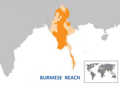 Burmese Language Reach